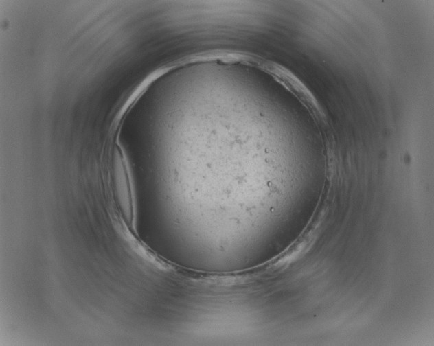 X0000072550860200607281647