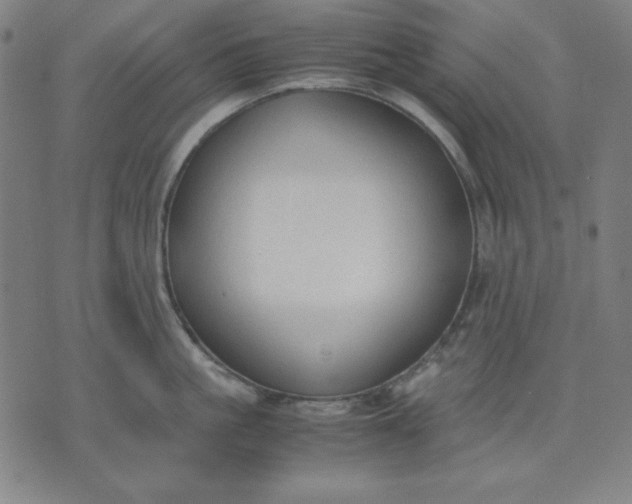 X0000072550861200607281647