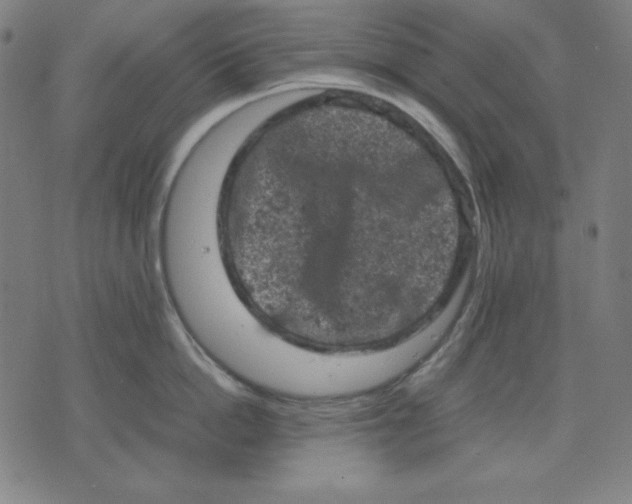 X0000072550862200607281647