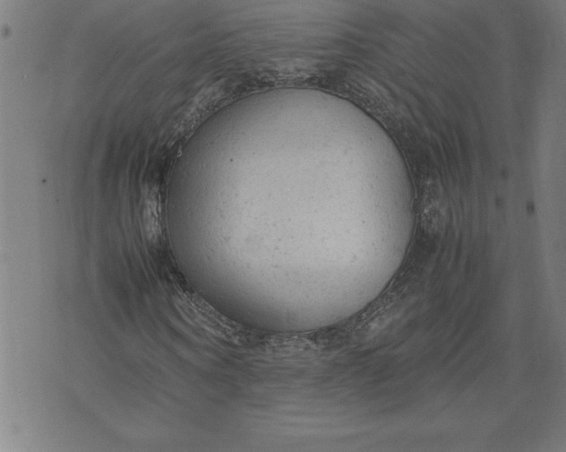 X0000072550866200607281646