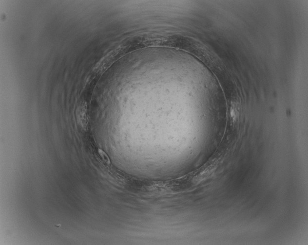 X0000072550867200607281646