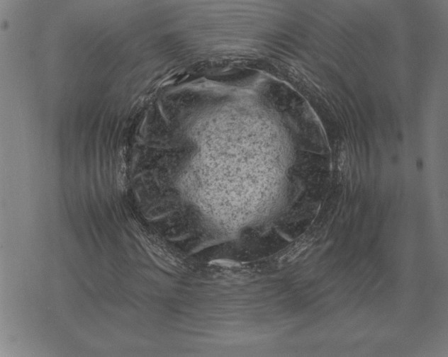 X0000072550868200607281646