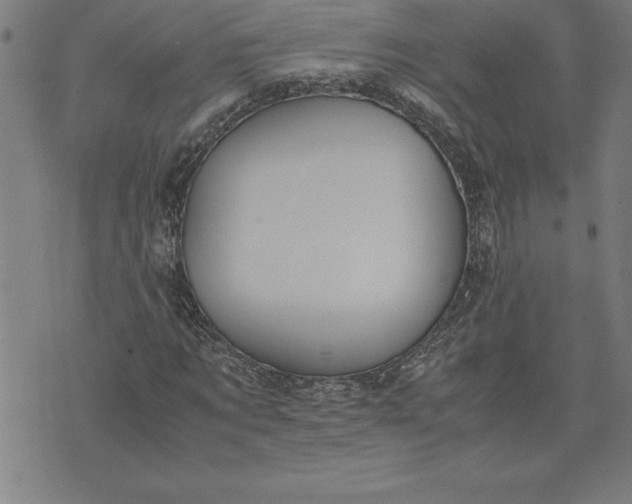 X0000072550869200607281646