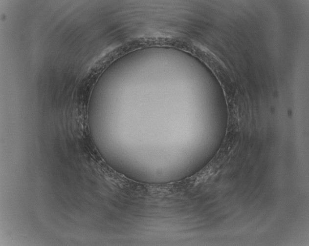 X0000072550870200607281646