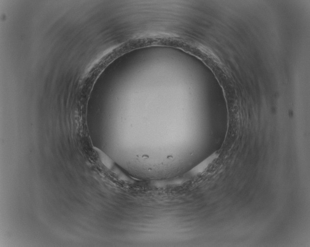 X0000072550872200607281646