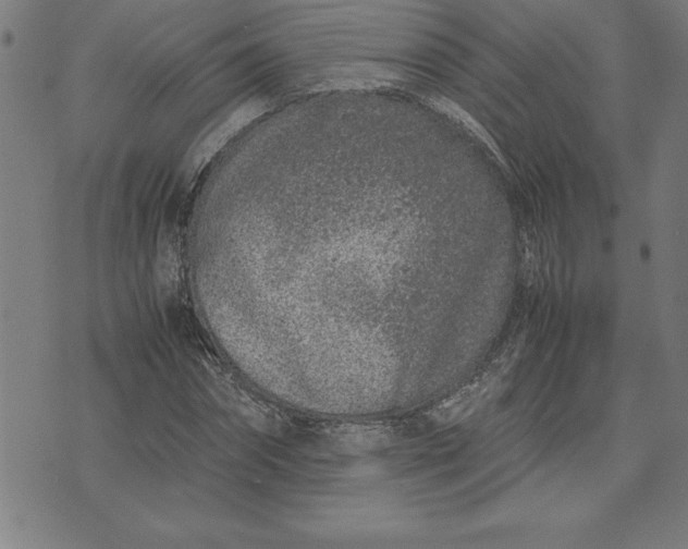 X0000072550874200607281646