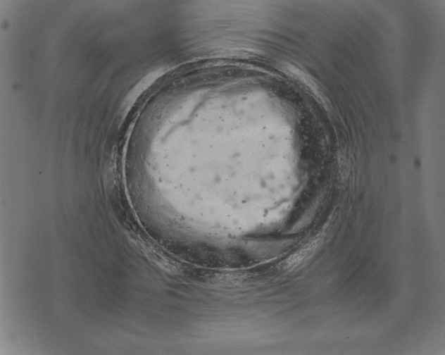 X0000072550875200607281646