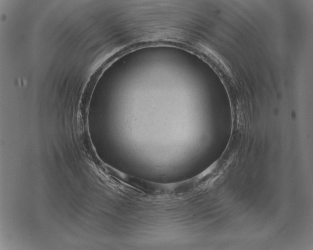 X0000072550876200607281646