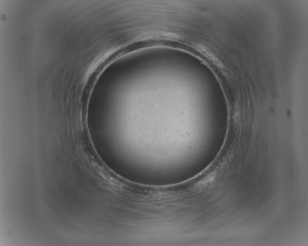 X0000072550877200607281646