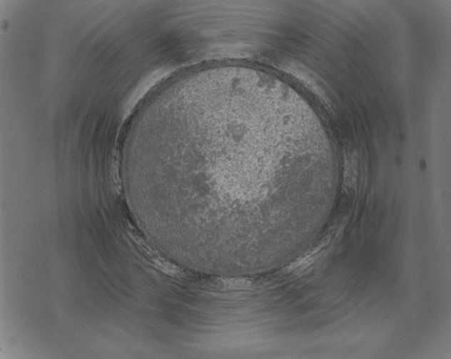 X0000072550878200607281646