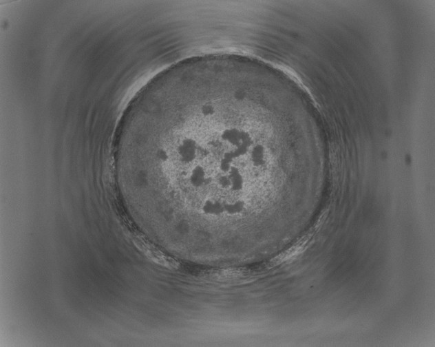 X0000072550879200607281646