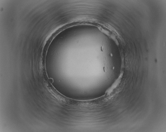 X0000072550880200607281646