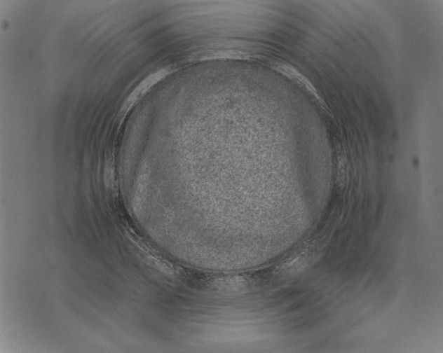 X0000072550882200607281646