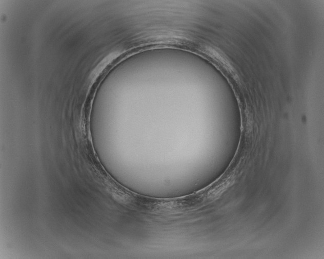 X0000072550883200607281646