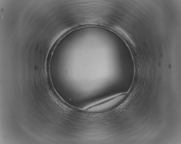 X0000072550884200607281646