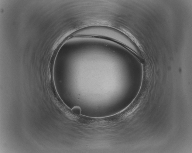 X0000072550885200607281646