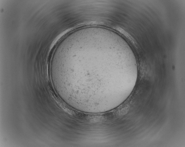 X0000072550886200607281646