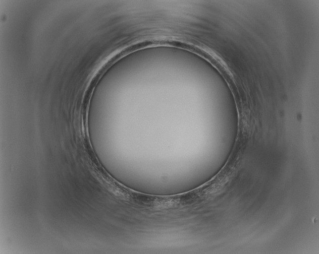 X0000072550887200607281646