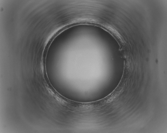 X0000072550888200607281646