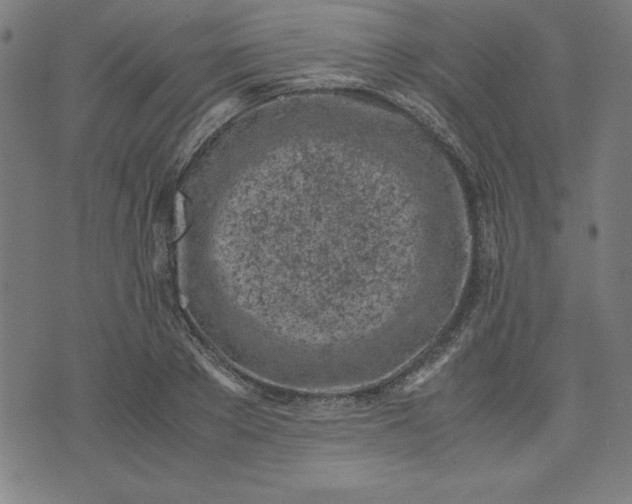 X0000072550889200607281646