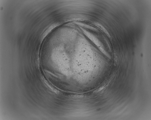 X0000072550890200607281646