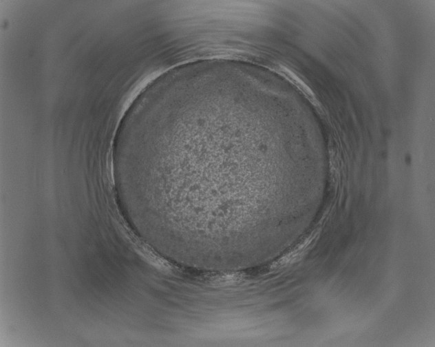 X0000072550891200607281646