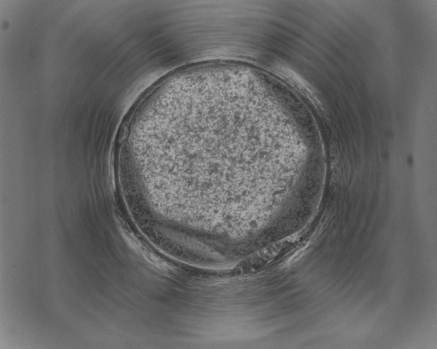 X0000072550892200607281646