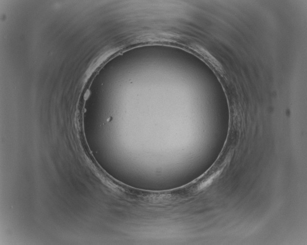 X0000072550893200607281646