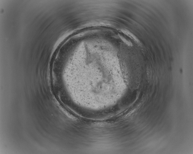 X0000072550894200607281646