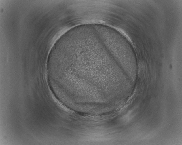 X0000072550895200607281646