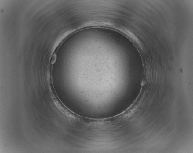 X0000072550896200607281646