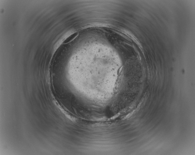 X0000072550898200607281646