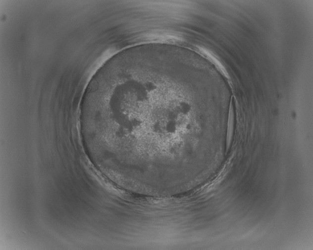 X0000072550899200607281646