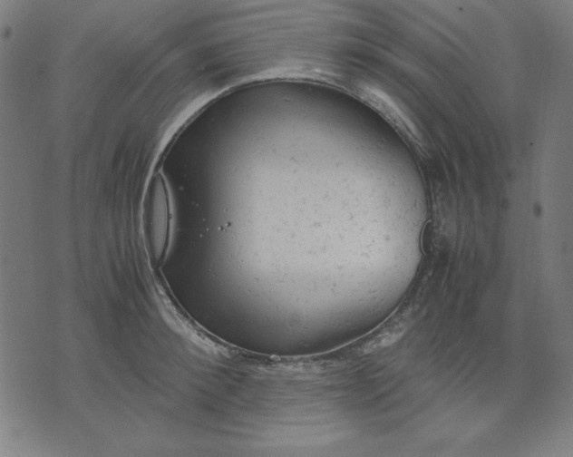 X0000072550900200607281646