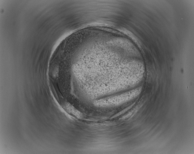 X0000072550902200607281646