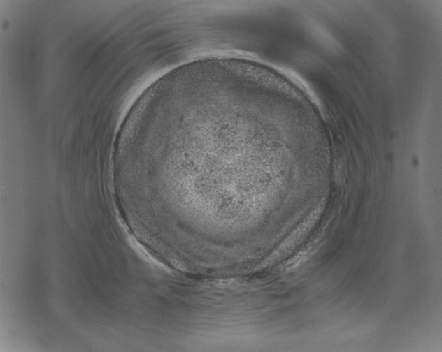 X0000072550903200607281645