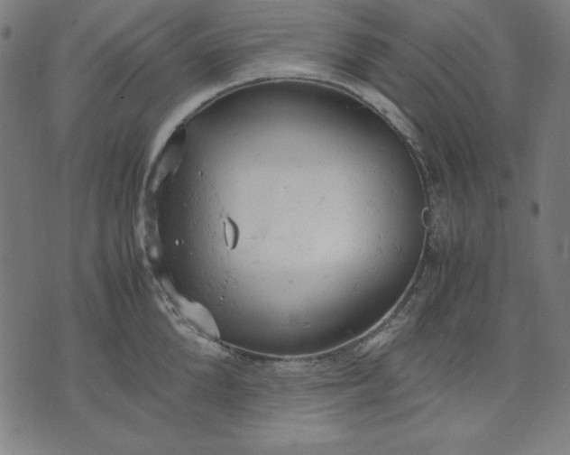 X0000072550904200607281645