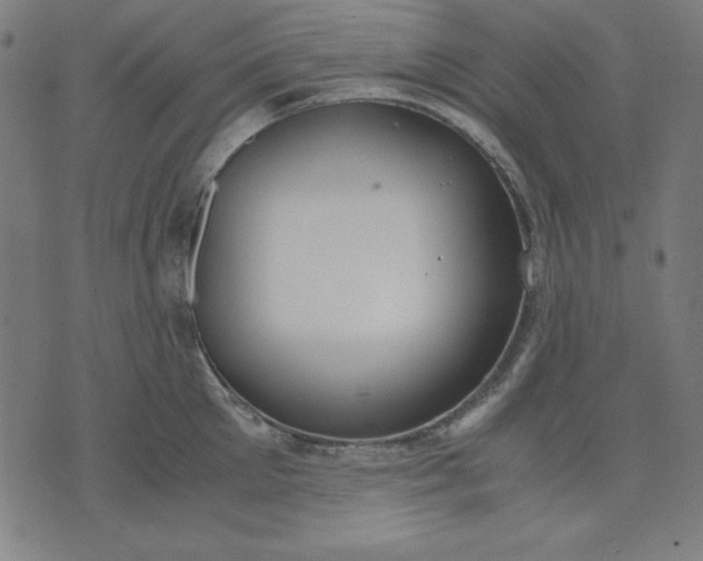 X0000072550905200607281645