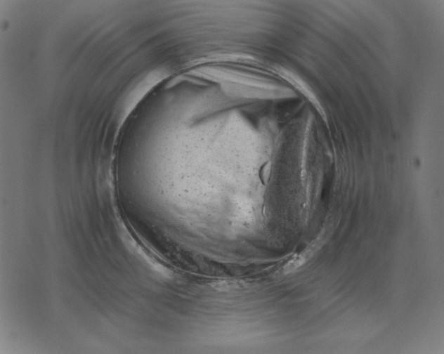 X0000072550906200607281645