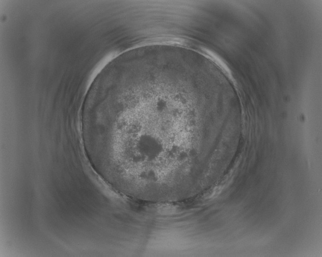 X0000072550907200607281645