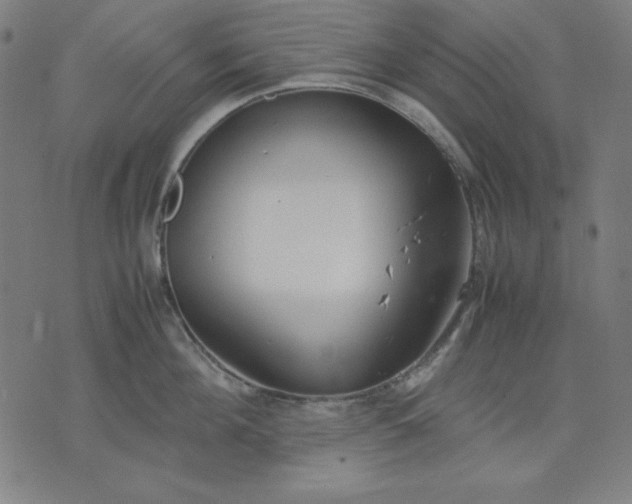 X0000072550908200607281645