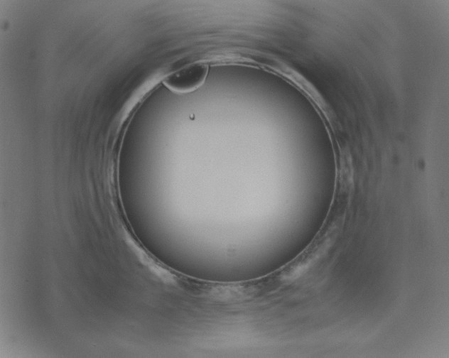 X0000072550909200607281645