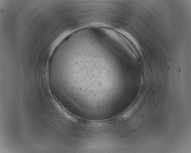 X0000072550910200607281645