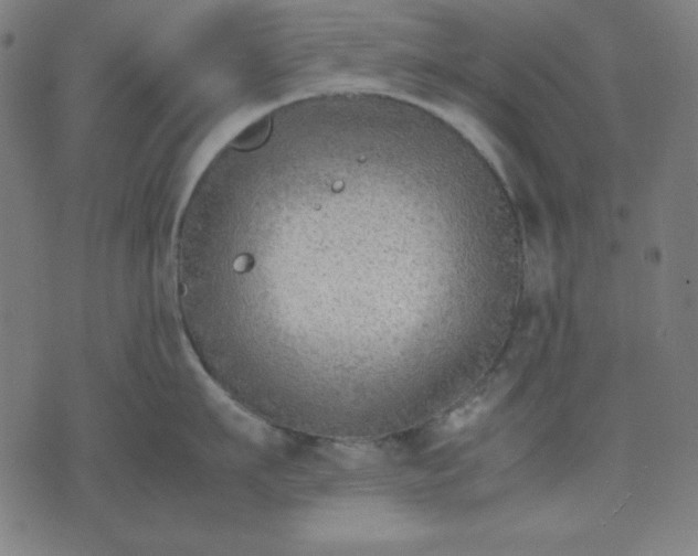 X0000072550911200607281645