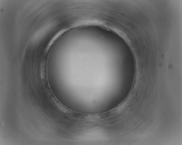 X0000072550912200607281645