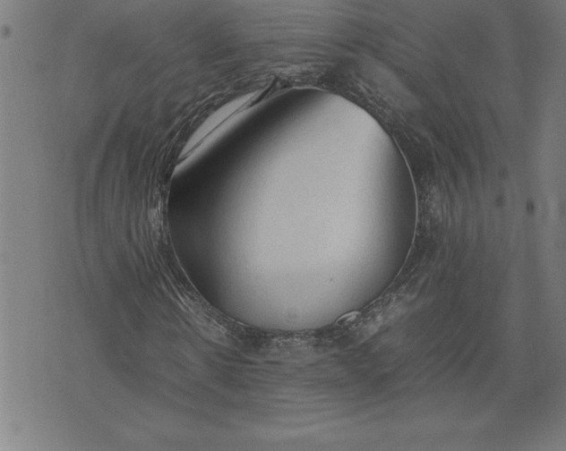 X0000072550914200607281645