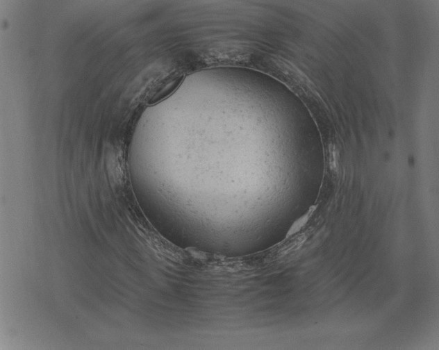 X0000072550915200607281645