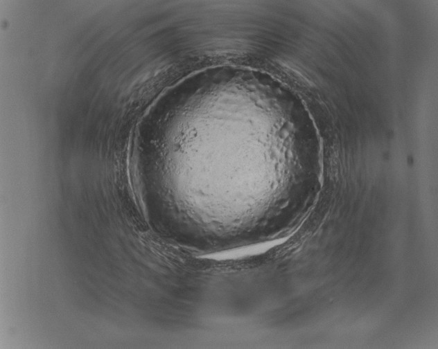 X0000072550917200607281645