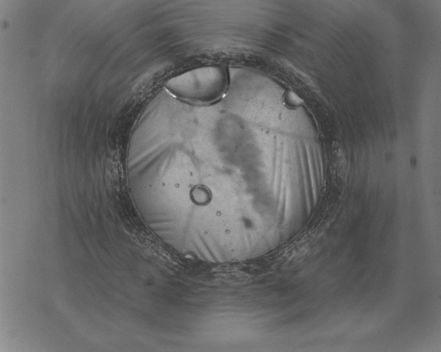 X0000072550918200607281645