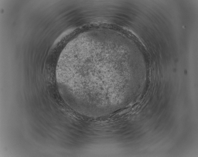 X0000072550919200607281645